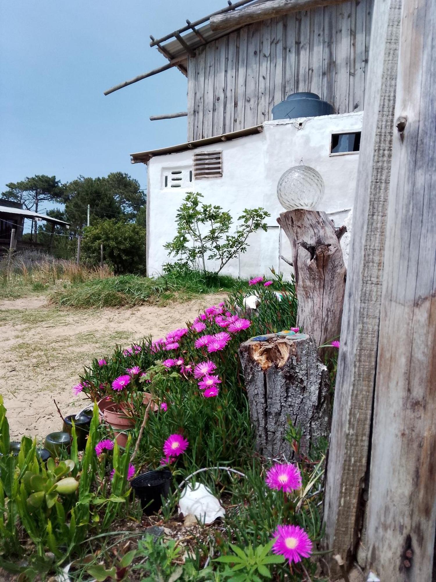 Vida Playera Hostel Punta Del Diablo Εξωτερικό φωτογραφία